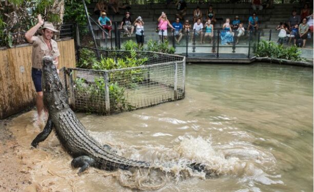 Pierrelatte, A la découverte de la ferme aux crocodiles