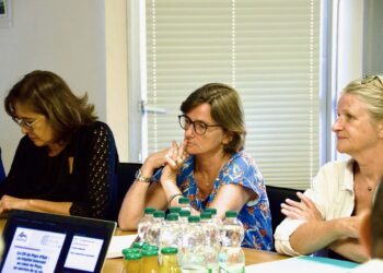 Apt : « les professionnels de santé devraient être formés aux soins palliatifs dès leur formation initiale »