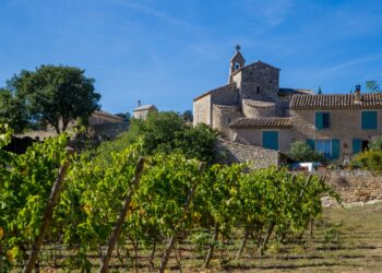 Saint Pantaléon, élection municipale partielle complémentaire