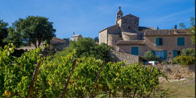 Saint Pantaléon, élection municipale partielle complémentaire