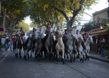 La Feria de Saint-Rémy-de-Provence commence ce week-end