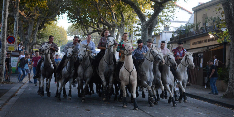 La Feria de Saint-Rémy-de-Provence commence ce week-end