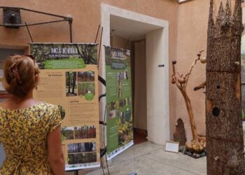 Apt : découvrez les forêts, du Luberon à la montagne de Lure, à la Maison du Parc