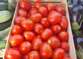 Les beaux et bons marchés du soir des producteurs