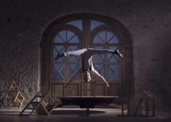 Le monde du cirque s’invite à Carpentras