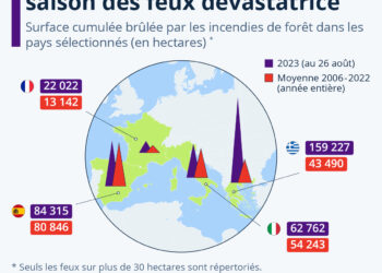 Feux de forêt : l’Europe du Sud en proie à une saison dévastatrice
