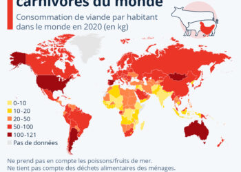 Dans quels pays mange-t-on le plus de viande ?
