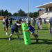 Coupe du monde de rugby : le monde de l’ovalie à l’honneur dans le Vaucluse