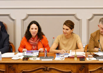 Pôle territorial : le Département de Vaucluse ne veut pas d’un Pôle métropolitain