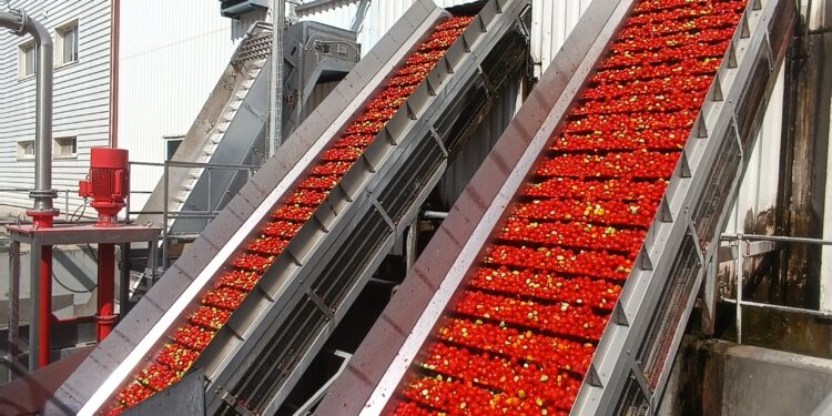 Tarascon : lancement officiel du Projet « TOMMATES » pour que la tomate industrielle reprenne des couleurs