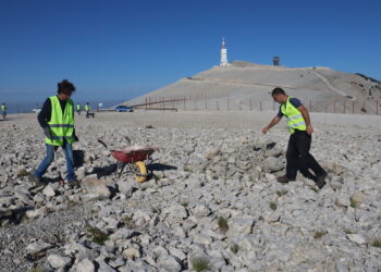 Ventoux : réhabilitation écologique de la plateforme des Tempêtes