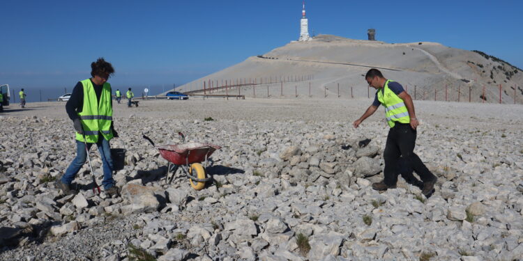 Ventoux : réhabilitation écologique de la plateforme des Tempêtes