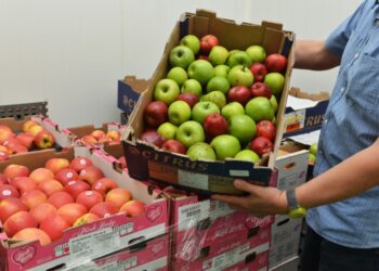 Le Min de Cavaillon participe aux Journées nationales du don agricole