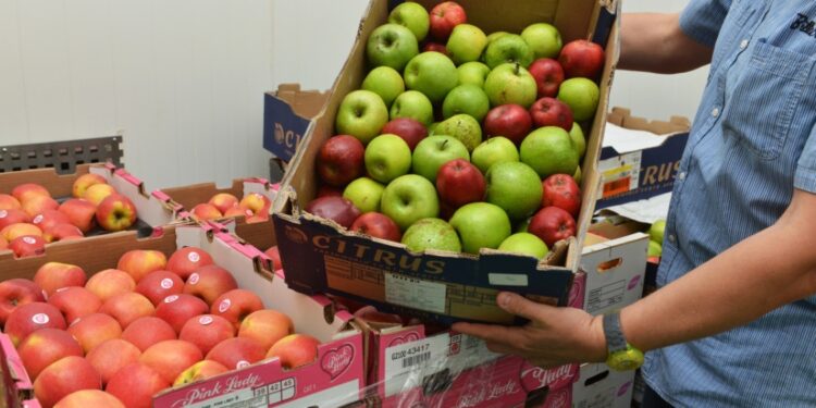 Le Min de Cavaillon participe aux Journées nationales du don agricole