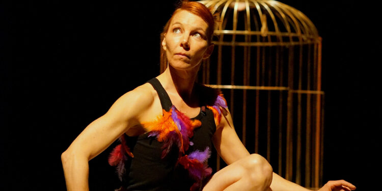 Sorgues : ‘Ouvre la cage’, quand une danseuse devient oiseau