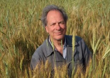 Saint-Rémy-de-Provence : une conférence autour de la culture du blé