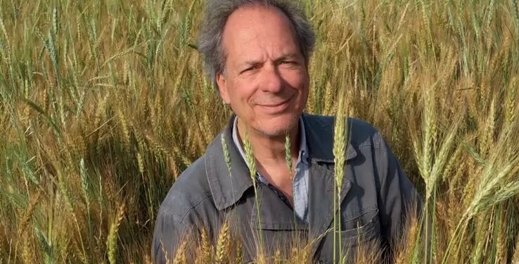 Saint-Rémy-de-Provence : une conférence autour de la culture du blé