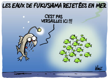 Les eaux de Fukushima vues par Wingz pour l’Echo du Mardi