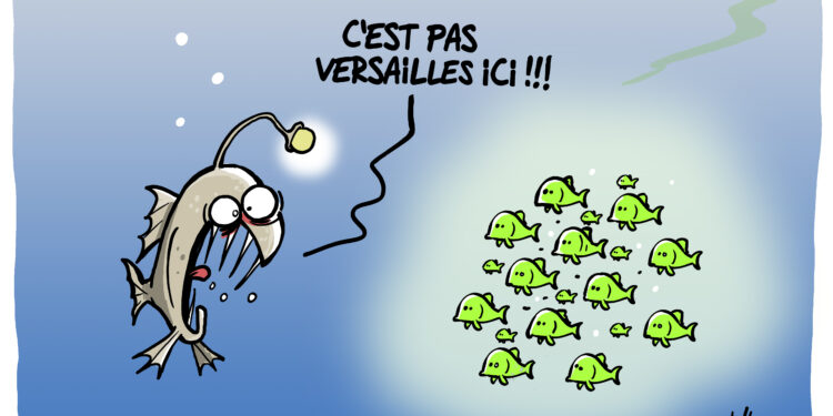 Les eaux de Fukushima vues par Wingz pour l’Echo du Mardi