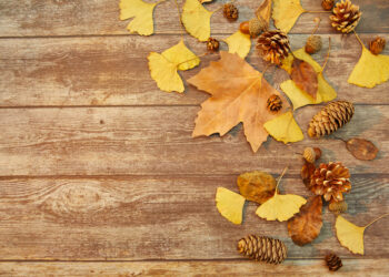 Monteux : la foire d’automne arrive plus tôt que prévu