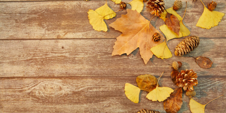 Monteux : la foire d’automne arrive plus tôt que prévu