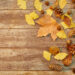 Monteux : la foire d’automne arrive plus tôt que prévu