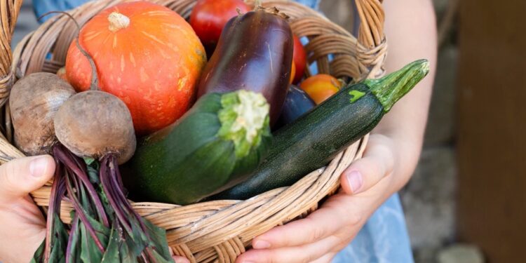 La commune de Venasque accueille la Fête de l’agriculture paysanne