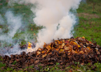 Entretien du jardin : la préfecture de Vaucluse rappelle les consignes