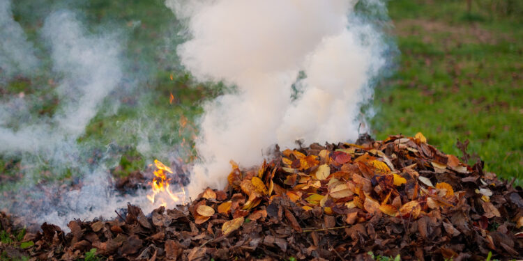 Entretien du jardin : la préfecture de Vaucluse rappelle les consignes