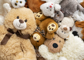 Carpentras : le Troc d’Automne a lieu ce samedi