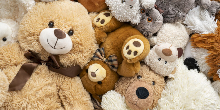 Carpentras : le Troc d’Automne a lieu ce samedi