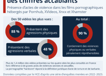 Un rapport du Haut Conseil à l’Egalité entre les femmes et les hommes accable l’industrie pornographique