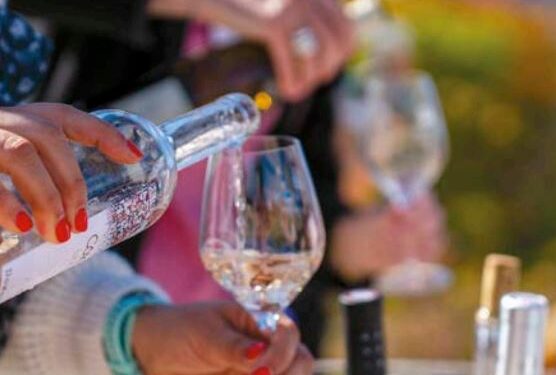 Passez un fascinant week-end dans les vignobles du Luberon et du Ventoux