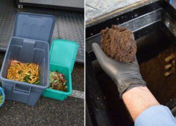 Saint-Rémy-de-Provence : un éco-digesteur pour limiter le gaspillage alimentaire des cantines