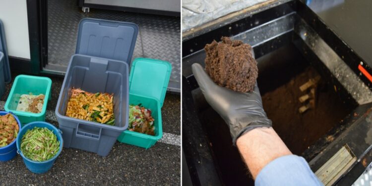 Saint-Rémy-de-Provence : un éco-digesteur pour limiter le gaspillage alimentaire des cantines