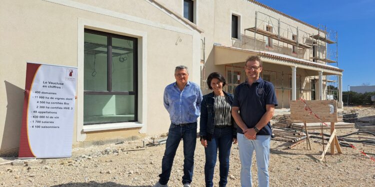 Fédération des vignerons indépendants : une belle récolte mais quelques nuages dans le ciel