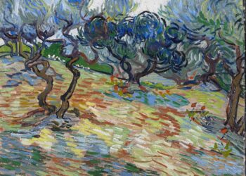 (Vidéo) Les actualités de Saint-Rémy-de-Provence