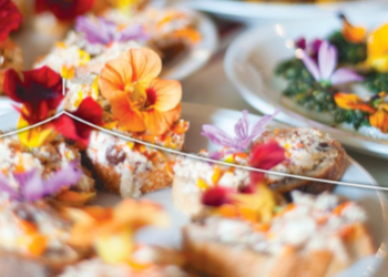 16e Festival Ventoux saveurs, Plus de 100 animations tout public