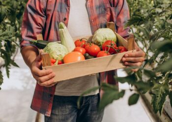 Avignon : ressources en eau et alimentation durable, les défis des territoires