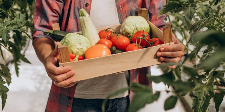 Avignon : ressources en eau et alimentation durable, les défis des territoires