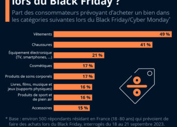 Quels achats prévoient les Français lors du Black Friday ?