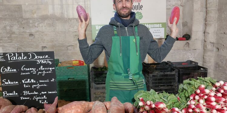 Foncez au Week-end Gastronomique d’Avignon : plus de 1 000m2 de stands gourmands