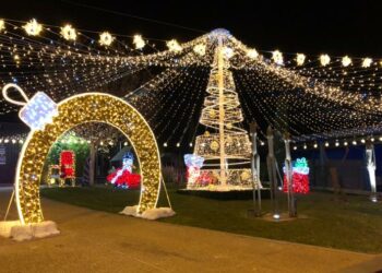 Blachère Illumination n’ouvrira pas ses portes au public cette année