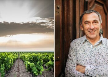 Vignoble : Philippe Pellaton réélu président d’Inter-Rhône