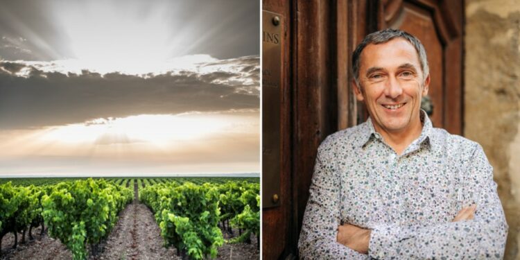 Vignoble : Philippe Pellaton réélu président d’Inter-Rhône