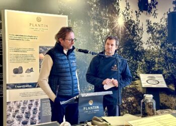 Plantin s’associe aux acteurs de l’agriculture pour relancer la production trufficole en Vaucluse