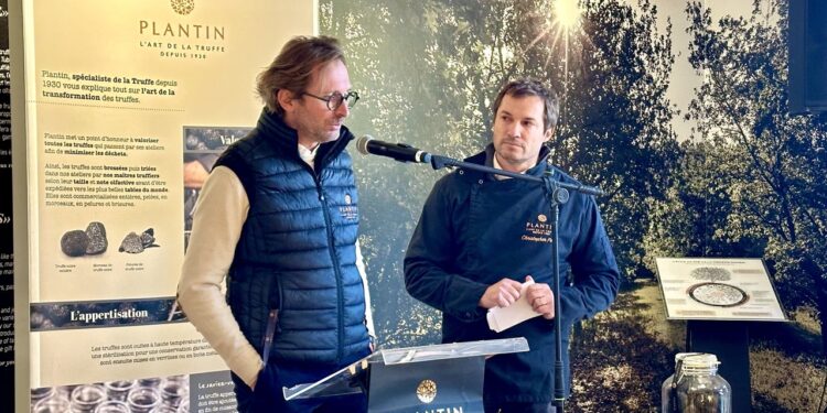 Plantin s’associe aux acteurs de l’agriculture pour relancer la production trufficole en Vaucluse