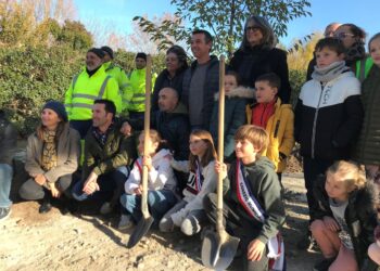 50 000 arbres en Vaucluse : 91 arbres et 210 arbustes vont être plantés à Velleron