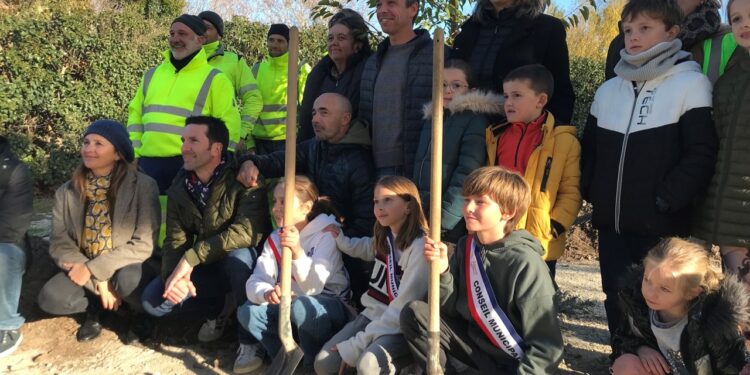 50 000 arbres en Vaucluse : 91 arbres et 210 arbustes vont être plantés à Velleron