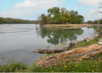 Vigilance crue de niveau jaune sur le Rhône